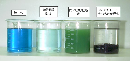 原水及び処理水（濾過前）の写真