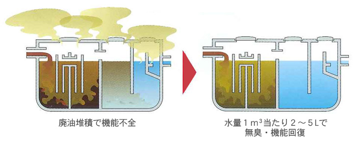 翠龍の生命への働き